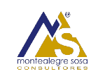 Montealegre Sosa Consultores